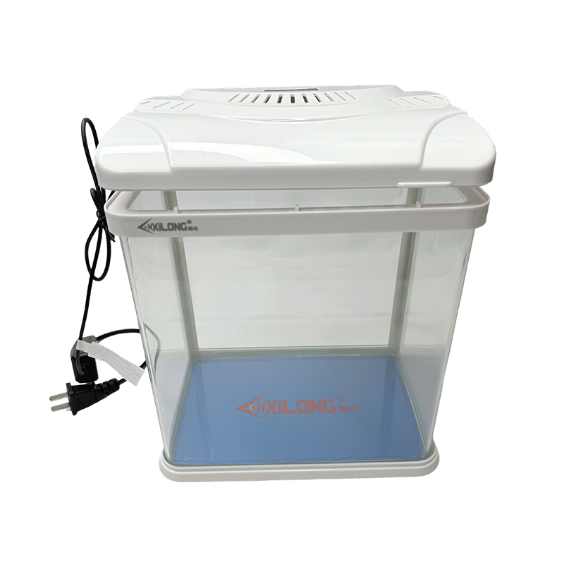 Aquarium en verre ultra transparent, petit aquarium