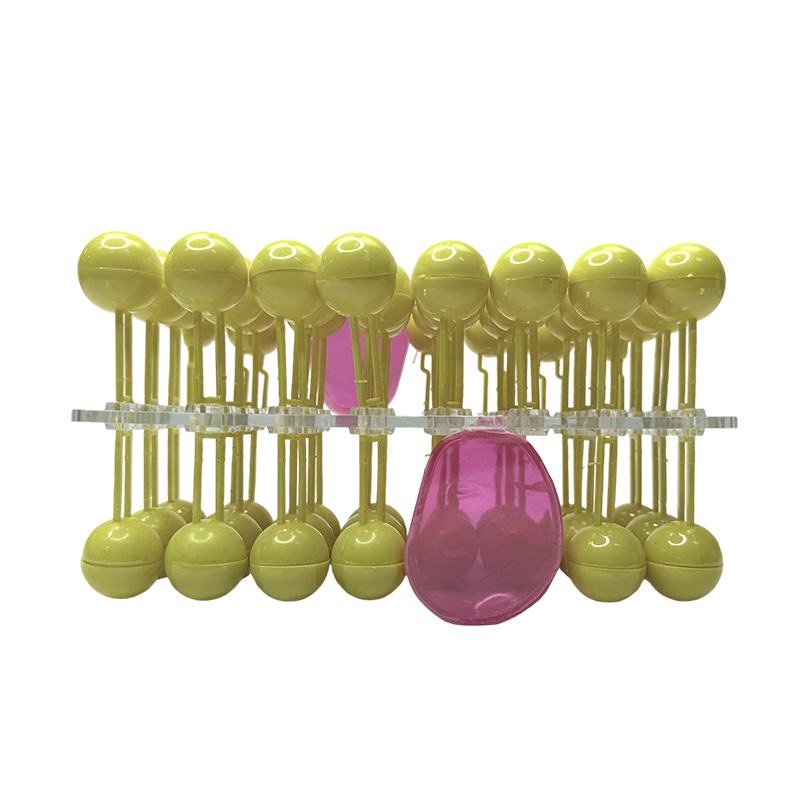 Structure de la membrane cellulaire, modèle d'anatomie, composant de mosaïque de flux, équipement de démonstration d'enseignement biologique, science