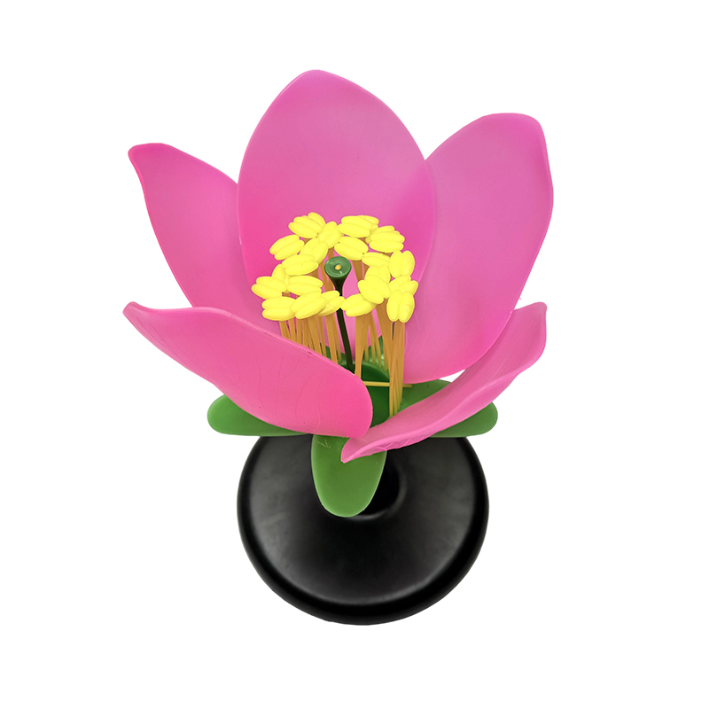 Modèle anatomique pour l'enseignement scolaire, modèle de fleur de pêcher