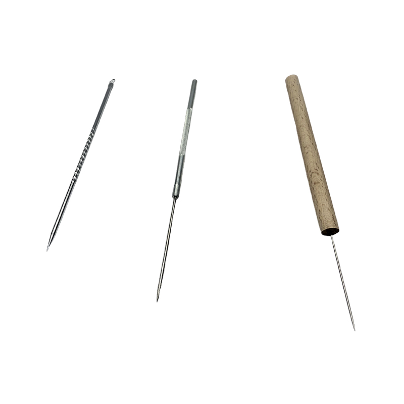 Aiguille de dissection biologique, aiguille de dissection en acier inoxydable, spécimen, aiguille de dissection d'insectes