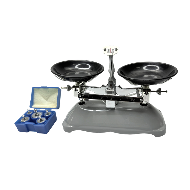 Balance de pesée manuelle 100g, compteur de laboratoire de haute précision, table, poids, équipement d'enseignement de la physique