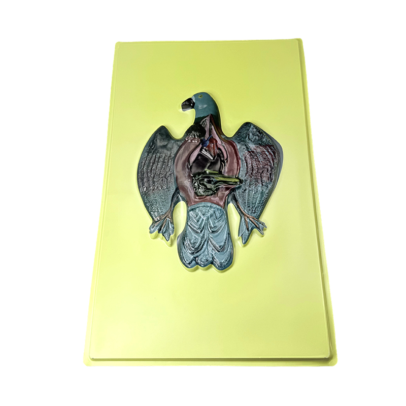 Modèle en relief de pigeon